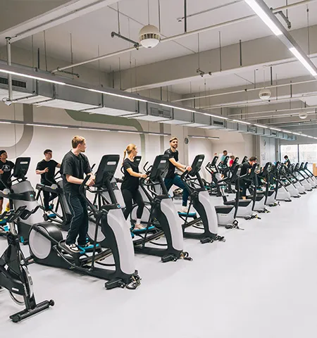 Cardiobereich mit Laufbändern und Crosstrainern im halfit